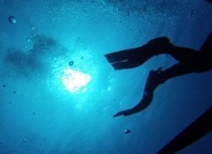 free diving dive fins